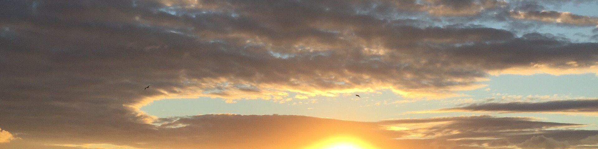 My sweet home paradise !