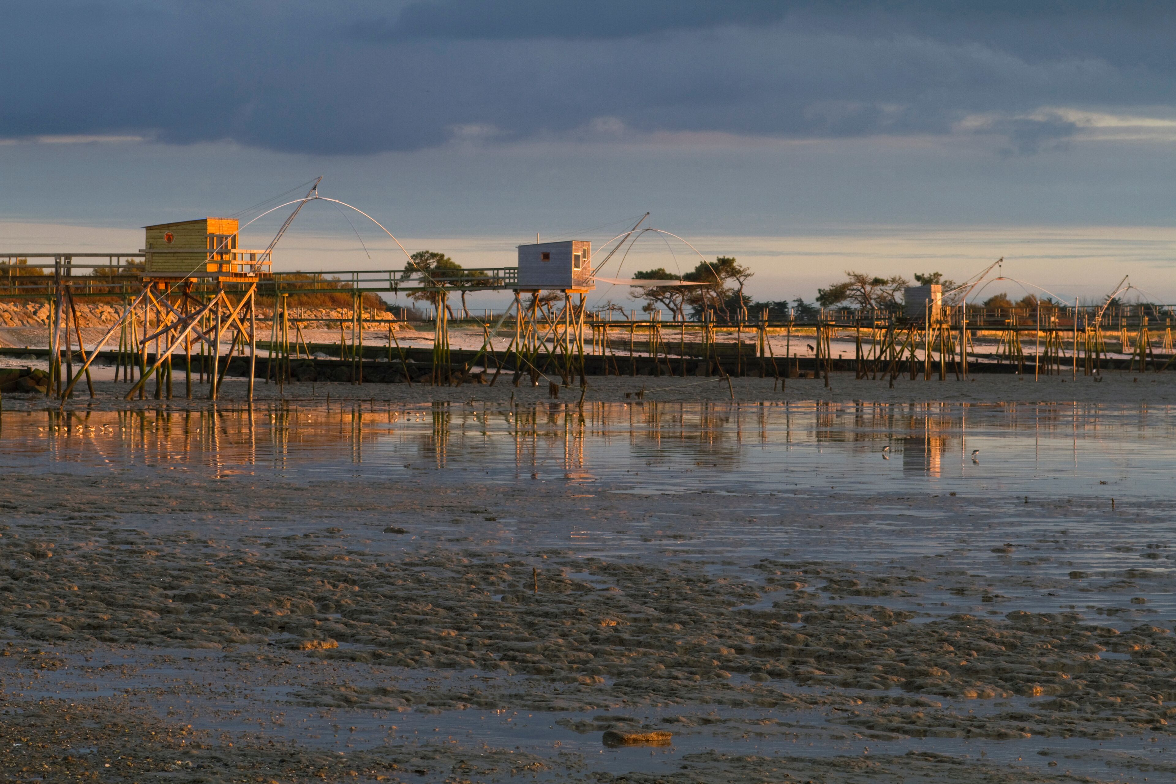 France,Les Moutiers-en-Retz, fisheries at low tide, sunset in winter.