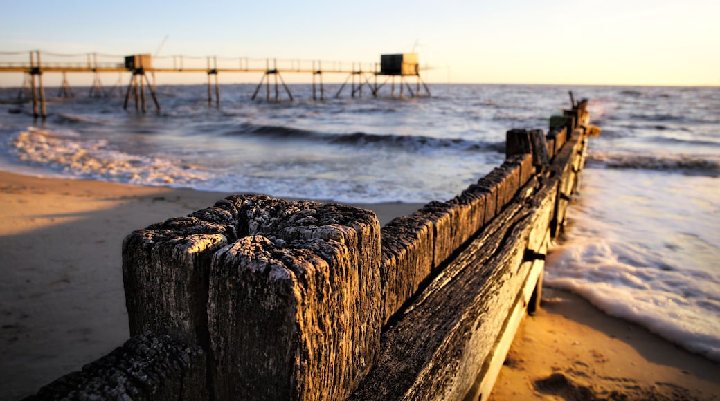 Sand fence at beach