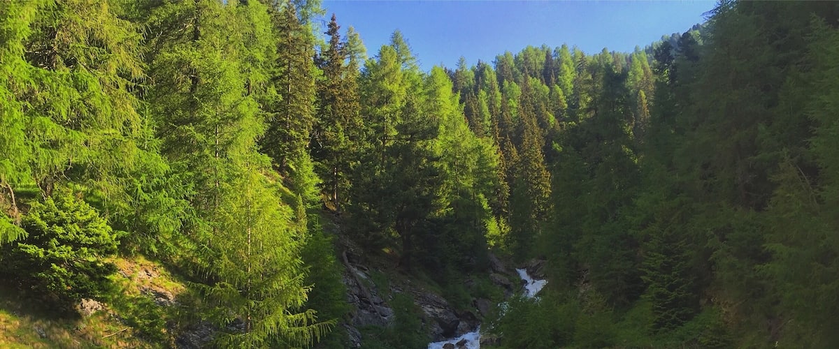 #green