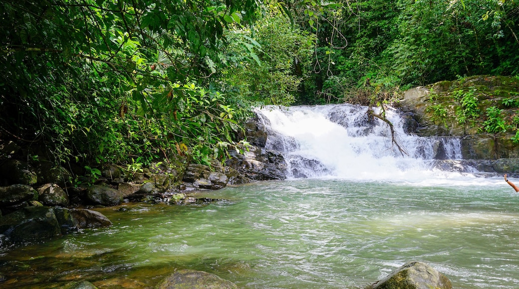 Woman bathing in a river by a waterfall. Costa Rica