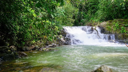Woman bathing in a river by a waterfall. Costa Rica