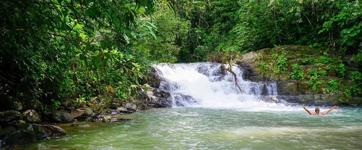 A waterfall in a lush green forest with clear water.