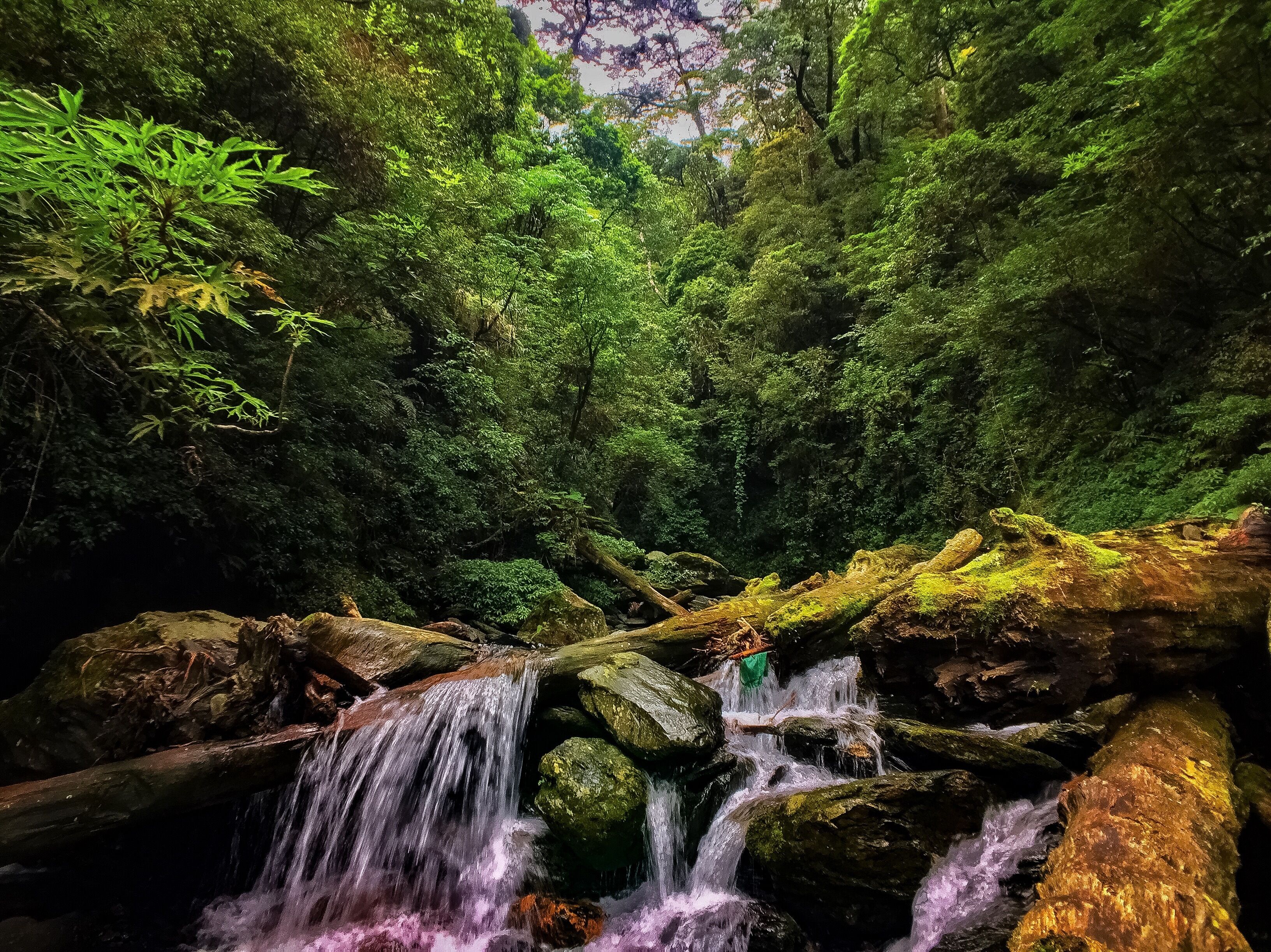 This is a picture of the protected area listed at WDPA under the ID