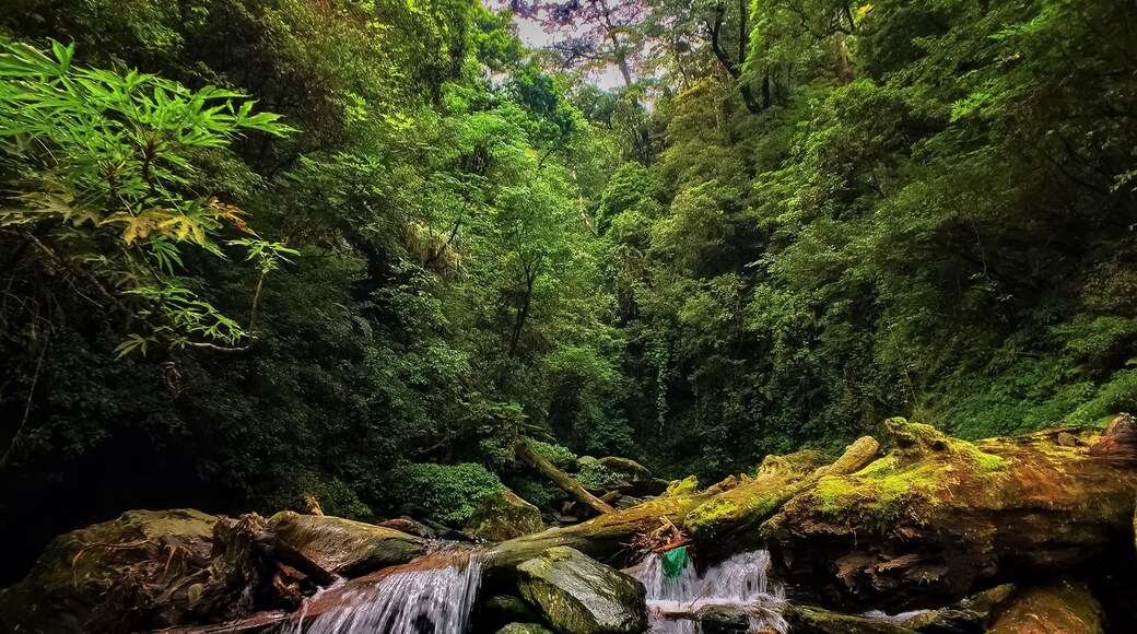 This is a picture of the protected area listed at WDPA under the ID