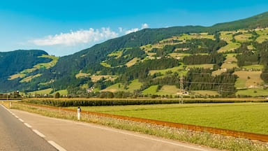 A rural landscape with a road, green fields, and a mountain range.