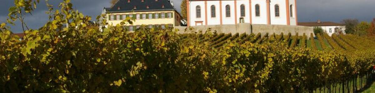 Such a beautiful church on the top of a hill in Hochheim, Germany.
#travel #photography #church #architecture #history #hochheim #germany