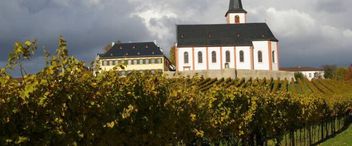 Such a beautiful church on the top of a hill in Hochheim, Germany.
#travel #photography #church #architecture #history #hochheim #germany