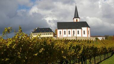 Une église avec un clocher imposant, un vignoble au premier plan et un ciel nuageux.