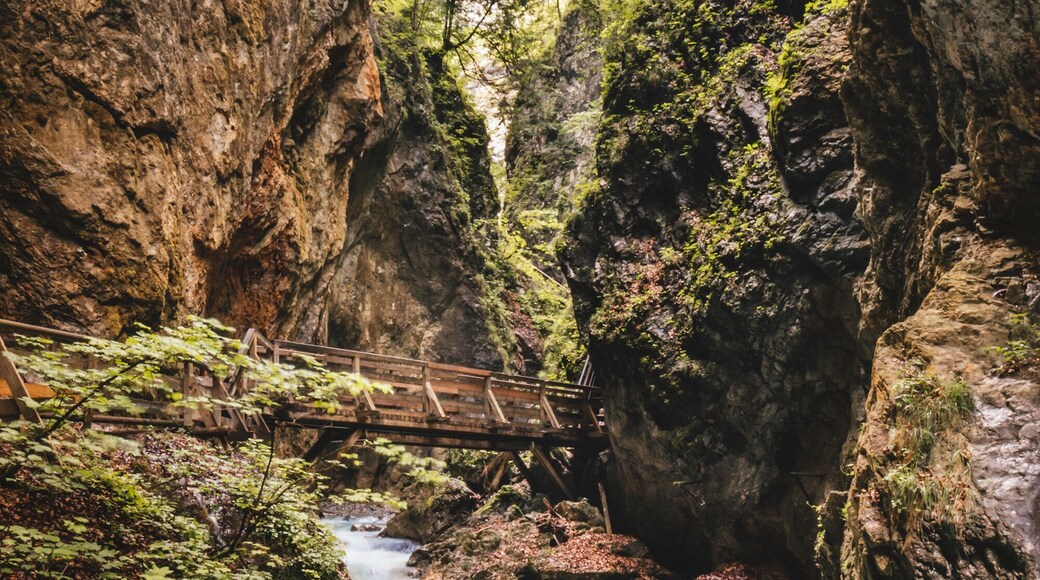 Great gorge to walk through combining it with one of the alternative routes in this area. On top you will find a wonderful location to rest (St. Georgenberg).