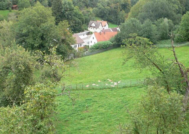 View from Illertissen Castle