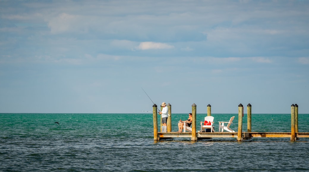 Layton showing fishing and general coastal views as well as a couple