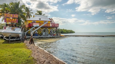 Long Key which includes general coastal views