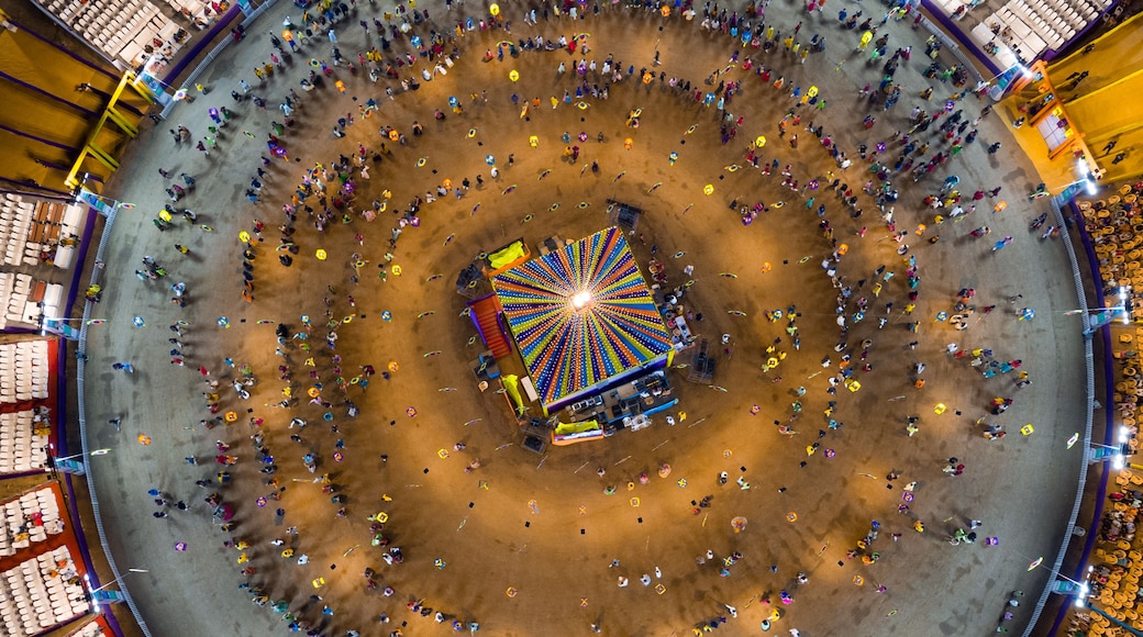 Un parque de atracciones grande y circular con una noria colorida en el centro.