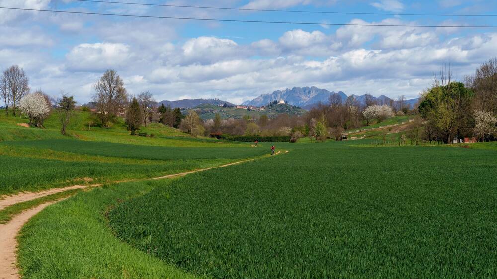 Rural landscape in Brianza near Usmate and Lomagna