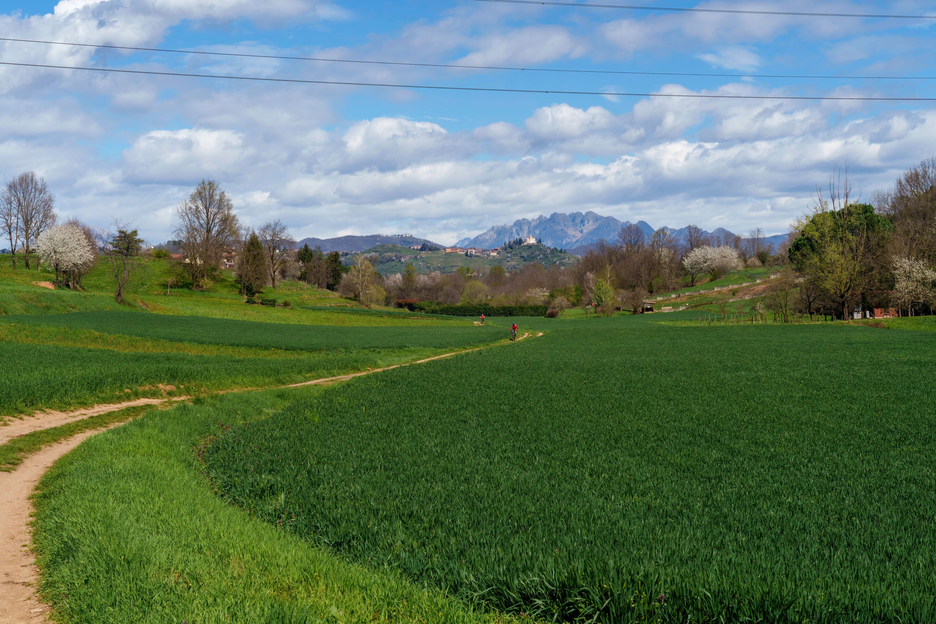 A lush green field with a dirt path, trees, and mountains in the background.