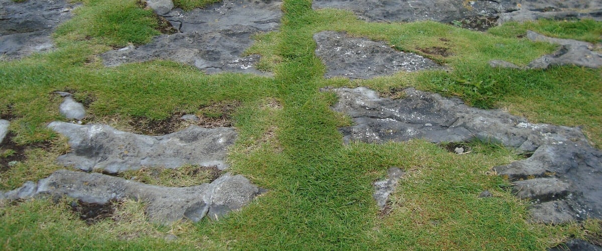 Great breeze of the wind right on the cliff edge