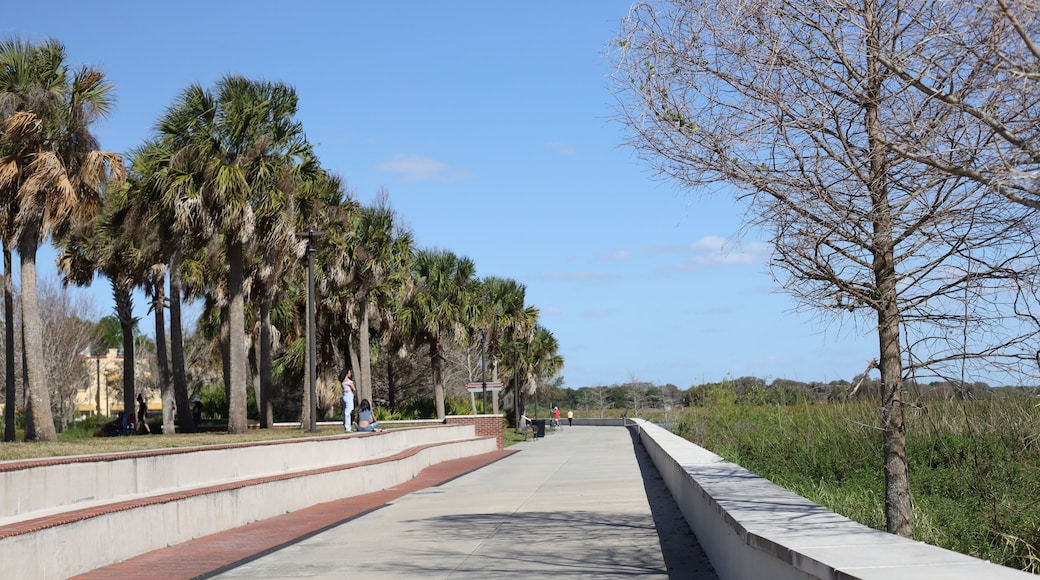 Kissimmee Lakefront Park Grassy waterfront park with walking paths, a fishing pier, picnic pavilions, and a shaded playground. children's playgrounds, splash pad