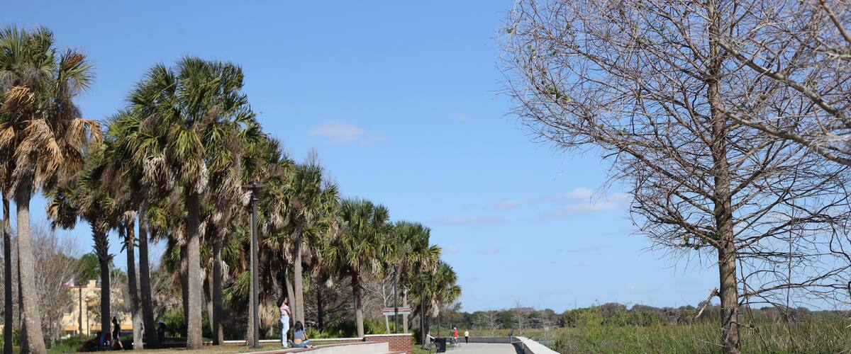 Kissimmee Lakefront Park Grassy waterfront park with walking paths, a fishing pier, picnic pavilions, and a shaded playground. children's playgrounds, splash pad