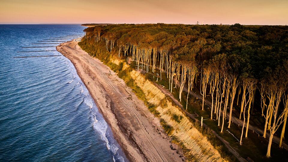 A coastal landscape with a sandy beach, a forested hillside, and a clear view of the ocean.