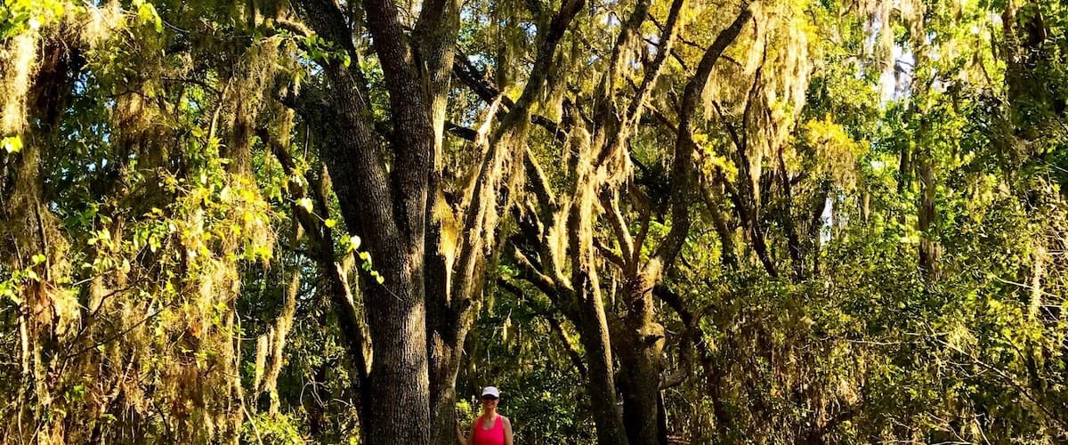 An easy 3 mi. + trail with beautiful oak trees near the marsh. Friendly advice, turn left at the 1st bridge. Taking a right leads you to a trail under the power lines.