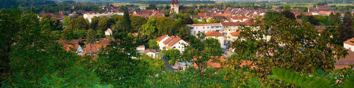 Blick auf Kenzingen in der Ortenau