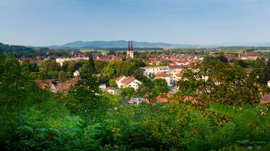 Blick auf Kenzingen in der Ortenau