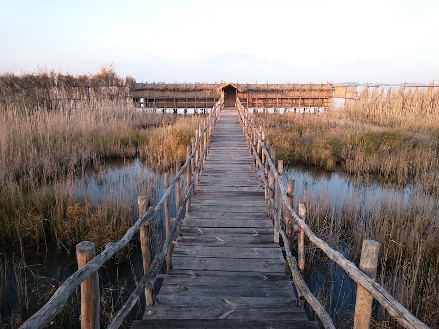 Osservatorio avifaunistico sul Lago di Lesina