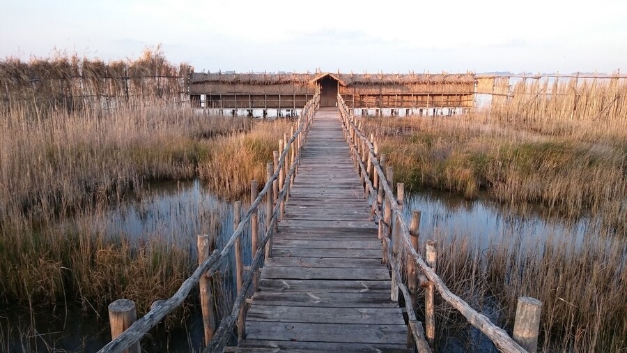 Osservatorio avifaunistico sul Lago di Lesina