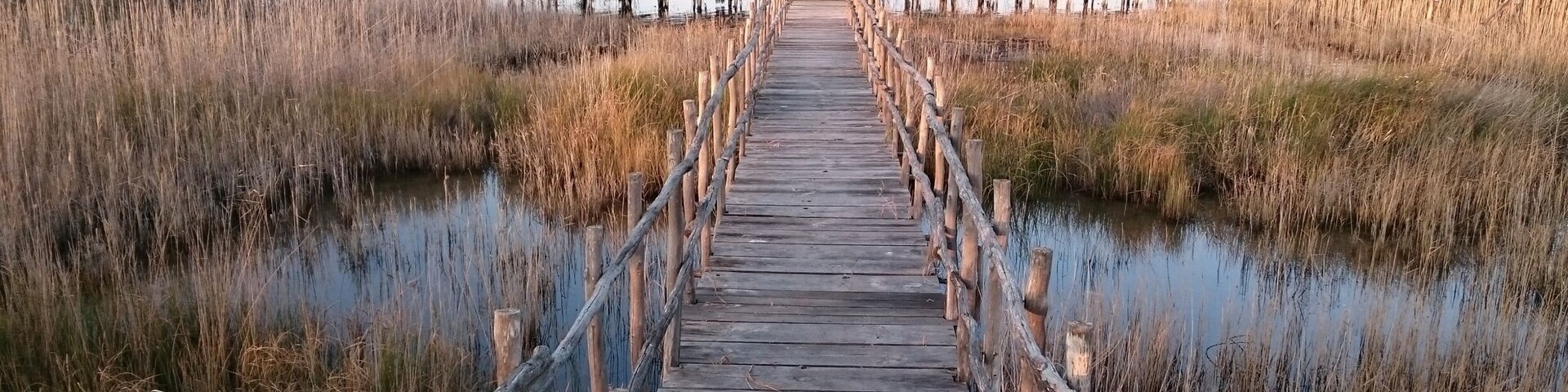 Osservatorio avifaunistico sul Lago di Lesina