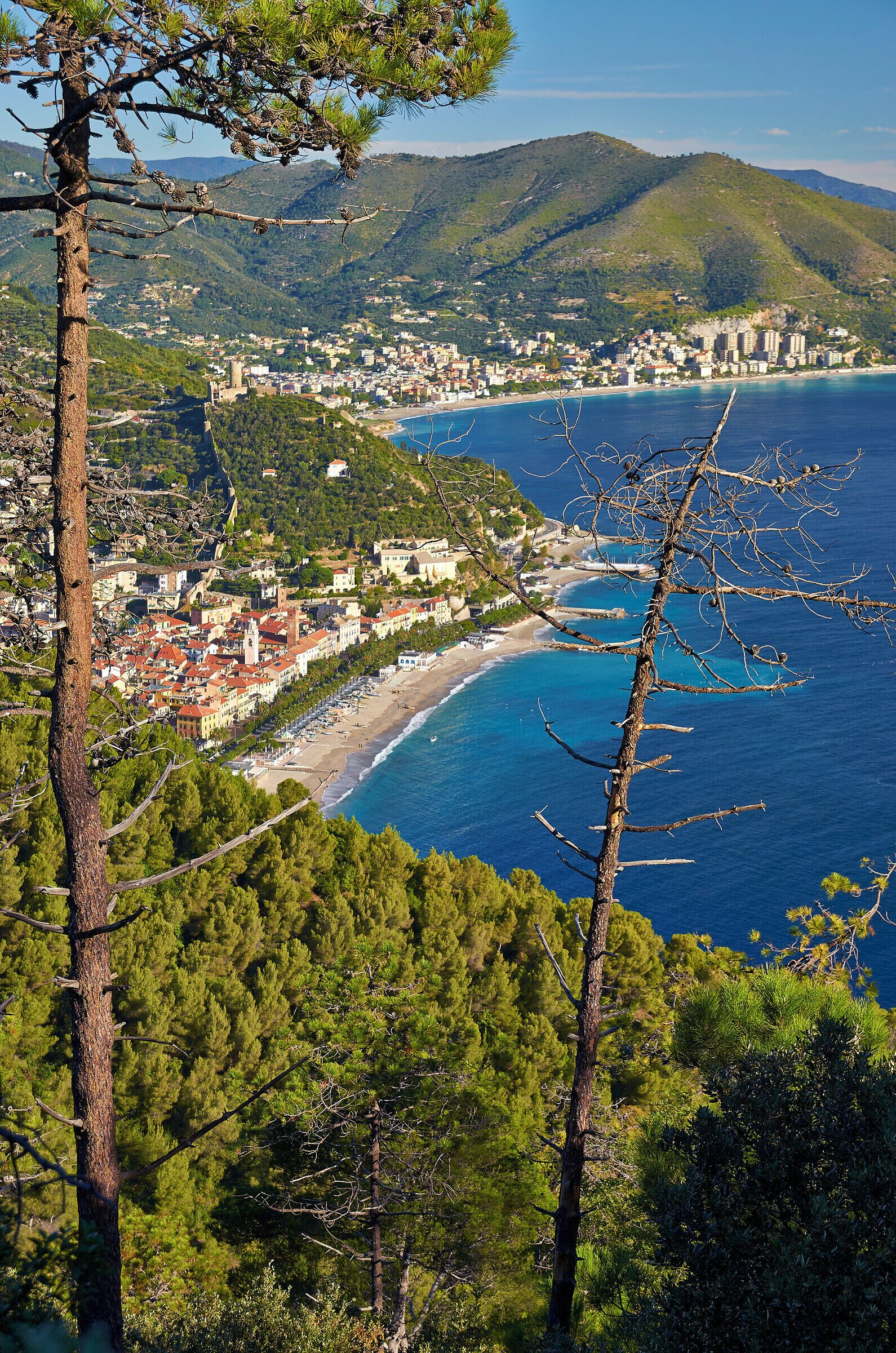 A coastal town with a beach, mountains, and dense pine forests.