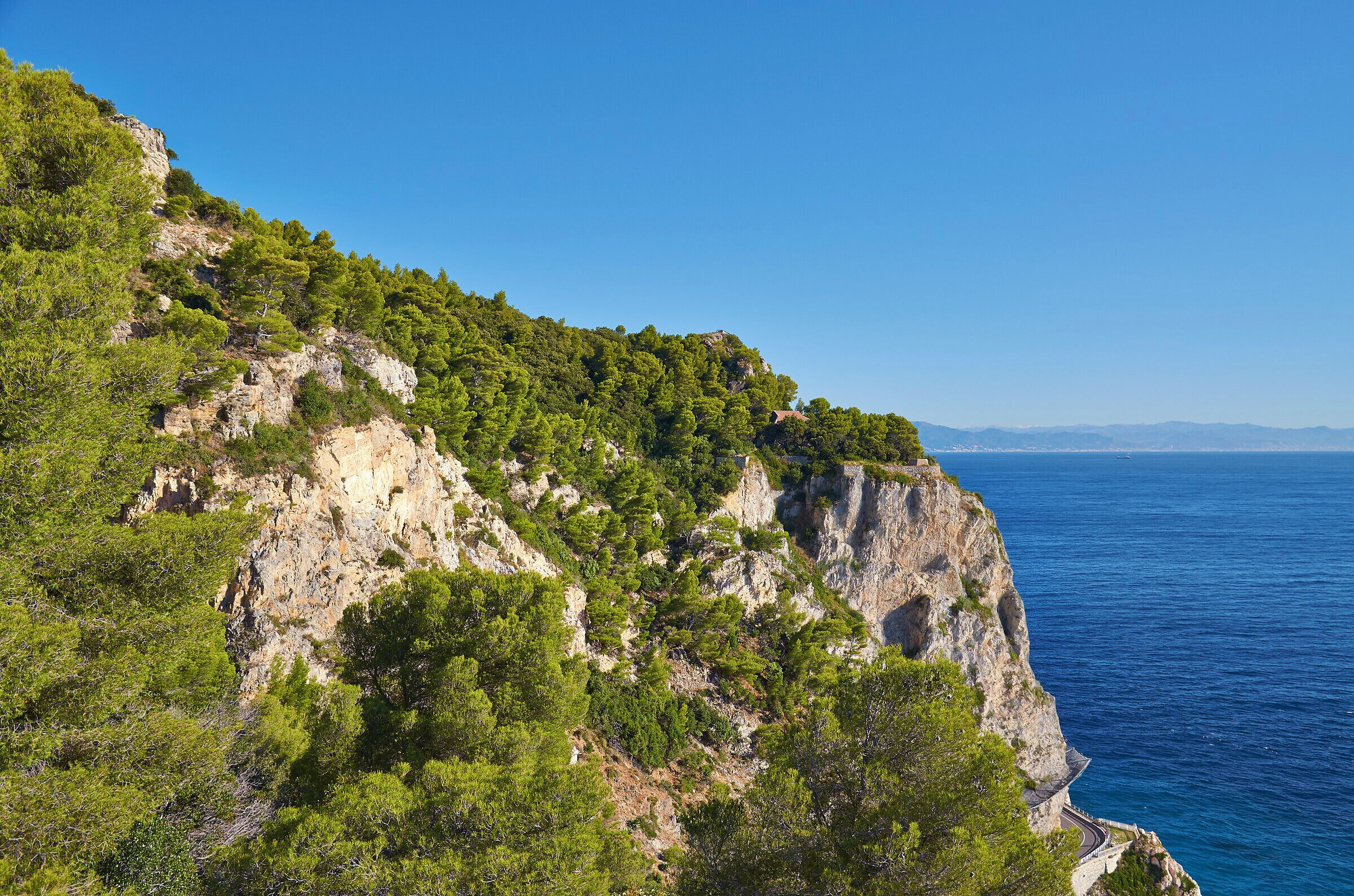 A coastal cliff with dense green vegetation and a winding road along the edge.