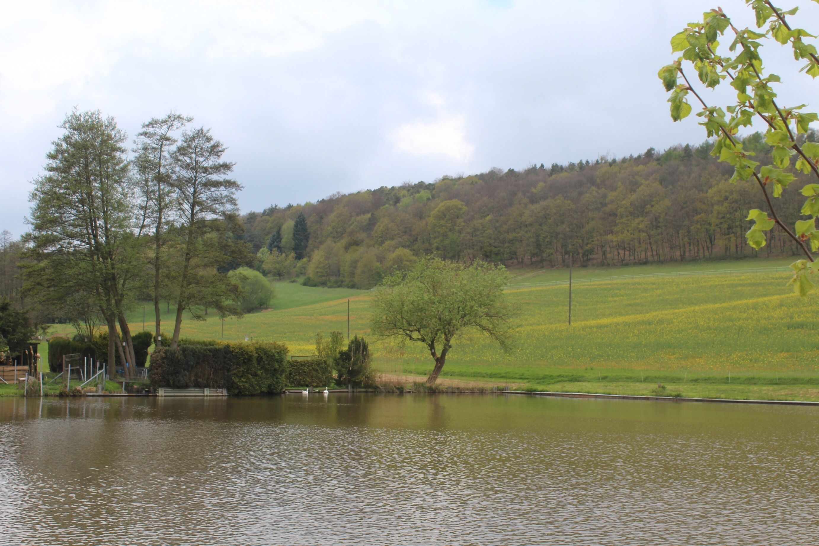 Rosenthal (Kerzenheim), the monastery pond