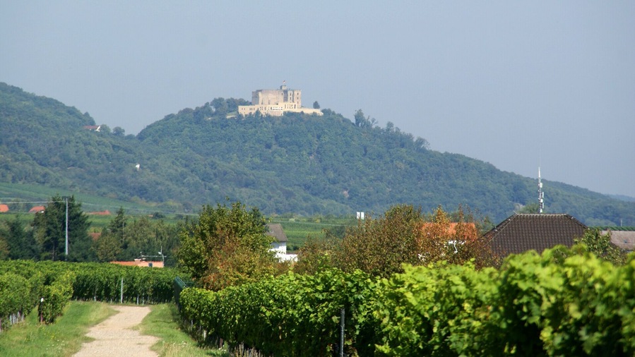 Hambacher Castle as seen from Rhodt unter Rietburg (Germany)