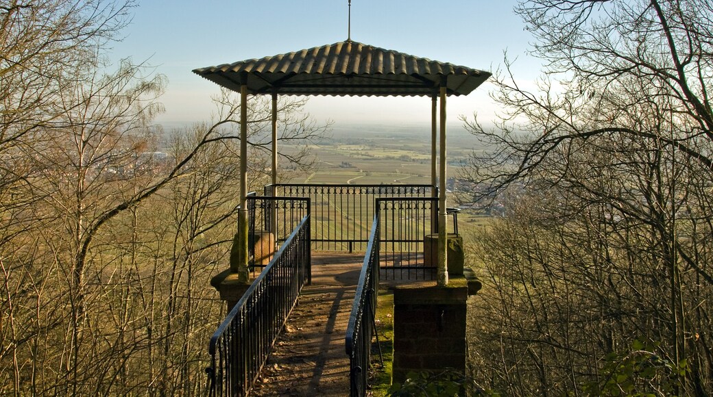 Aussichtsturm "Schöner Punkt"