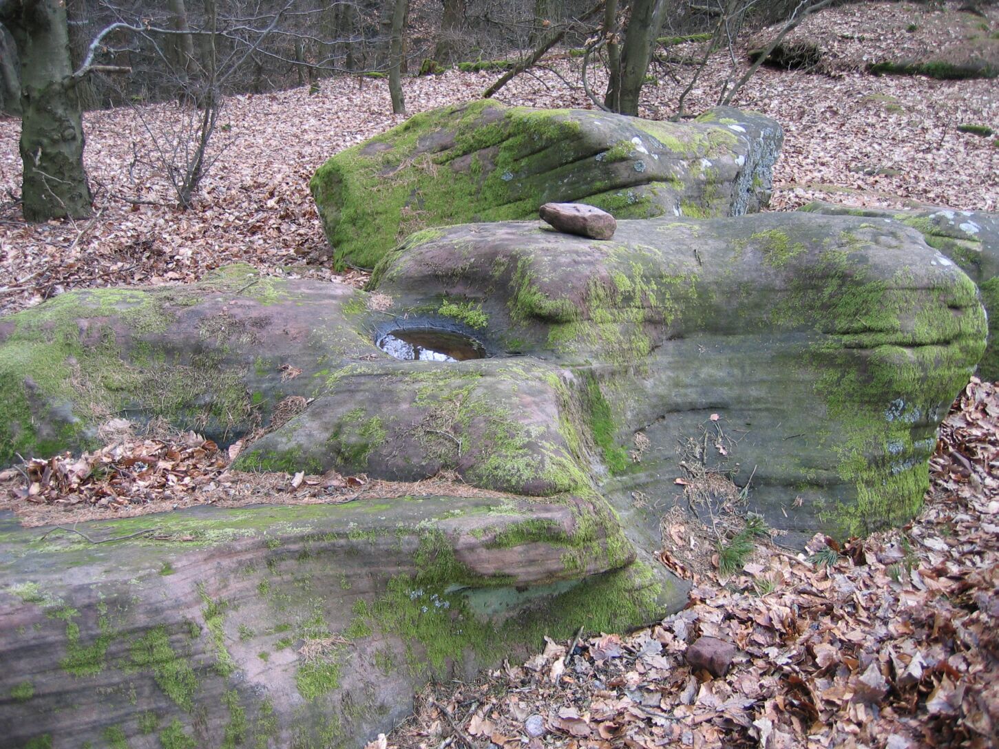 Naturdenkmal Gletschermühlen auf dem Kesselberg