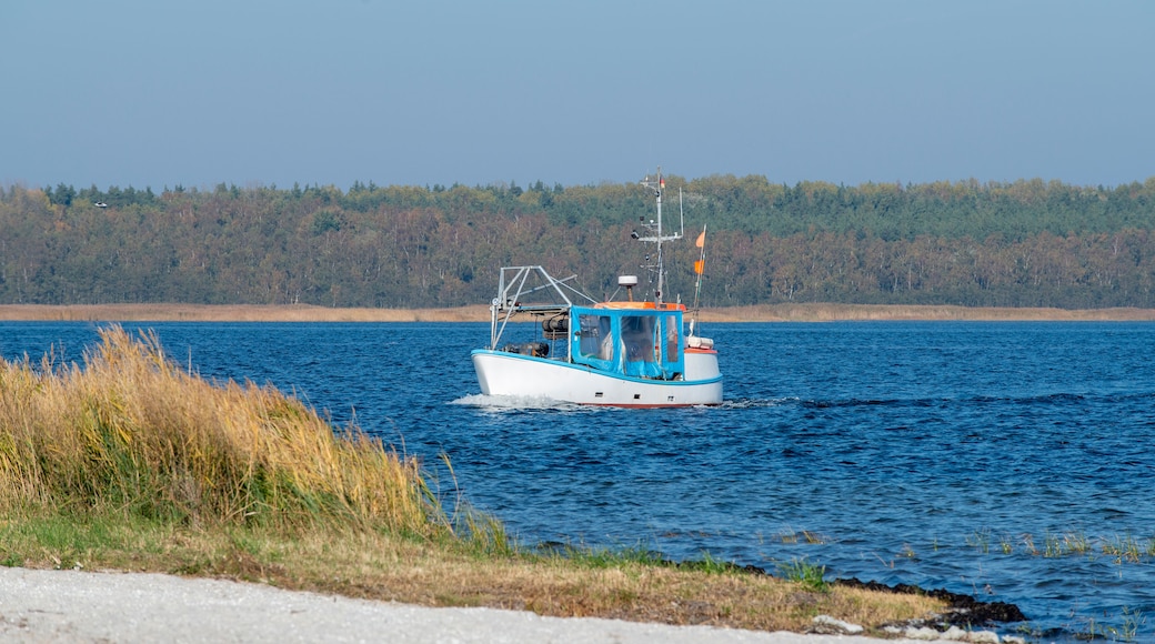 Fischkutter vor der Hafeneinfahrt von Barhöft, Mecklenburg-Vorpommern, Deutschland
