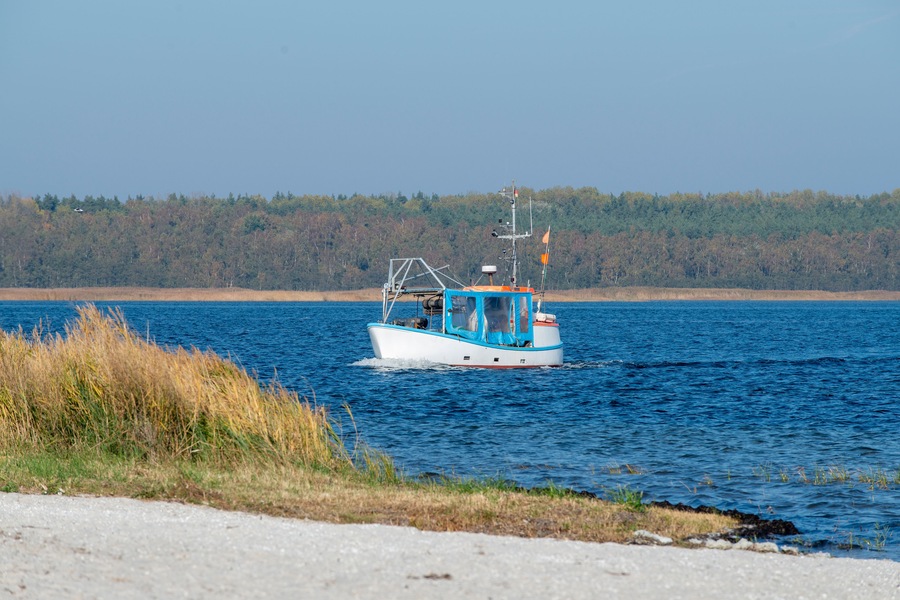 A small white boat with blue accents on a calm body of water.