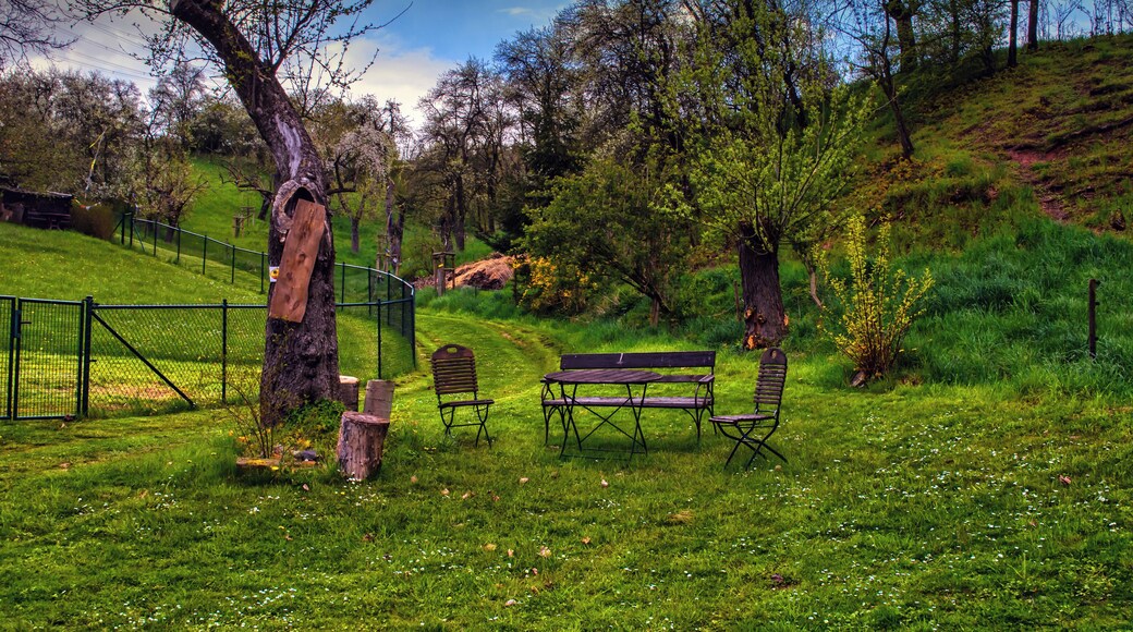 Das Bild entstand während meiner Wanderung in der Umgebung von Kreischa, am Eichberg (Landkreis Sächsische Schweiz-Osterzgebirge, Sachsen)