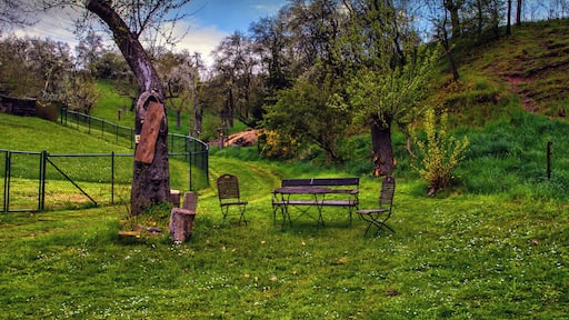 Das Bild entstand wÀhrend meiner Wanderung in der Umgebung von Kreischa, am Eichberg (Landkreis SÀchsische Schweiz-Osterzgebirge, Sachsen)