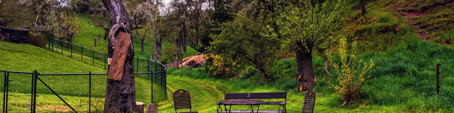 A grassy park with a wooden bench, a metal bench, and a tree stump.