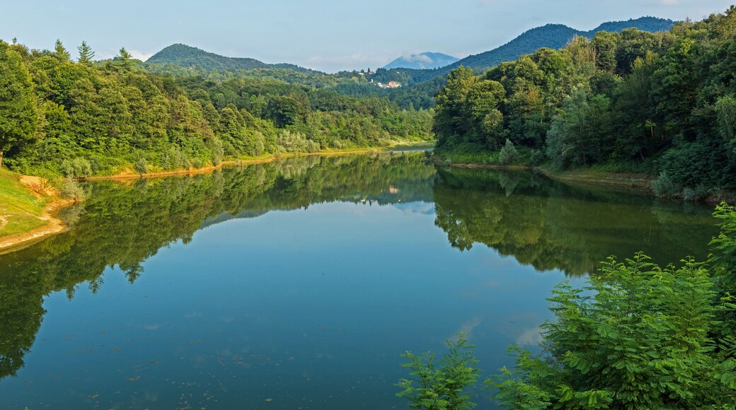 ピアンフェーイ