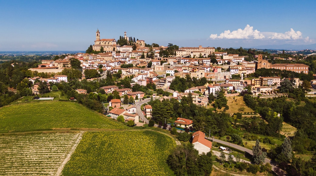 Landscape of Vignale Monferrato, unesco world heritage