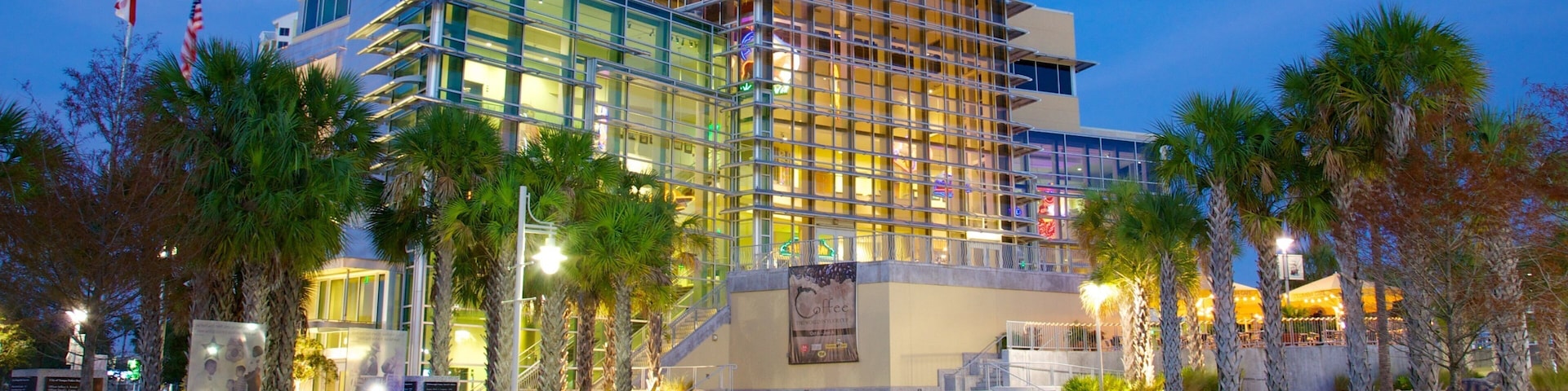 Centro Histórico de Tampa Bay que inclui cenas noturnas e uma cidade