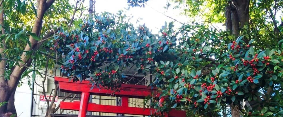 Shimo-kitazawa is a fun, funky neighborhood in Tokyo. This photo is of a neighborhood shrine I stumbled upon. 
#StunningStructures #ShimoKitazawa #Japan #Tokyo #Torii