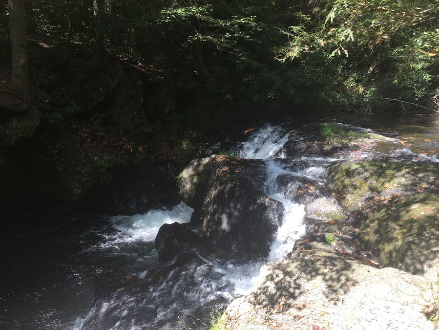 Beautiful waterfall inside Beltzville State Park. This Park has a nice trail broken down into 3 different blazes.