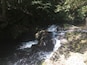A waterfall cascading over rocks in a forested area.