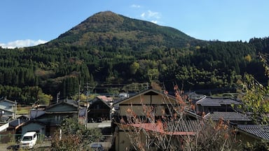 ๆงใป็บ็ฐ้ง
(ๅคงๅ็)ใใผใ ใใๆใๅฐๅๅฒณ