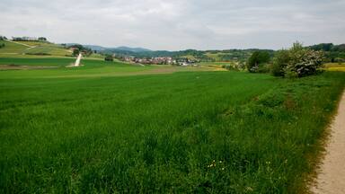 Herzstück des Biosphärengebiets der schwäbischen Alb: Der ehemalige Truppenübungsplatz Münsingen im sogenannten Münsinger Hardt: Blick Richtung Trailfingen