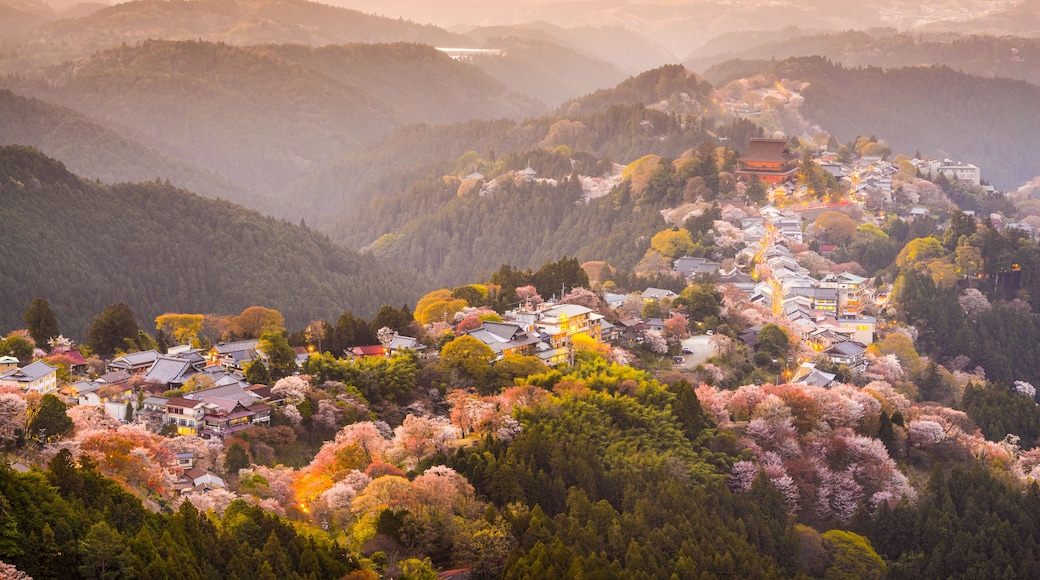 Yoshinoyama, Nara, Japan Hilltop village in Spring